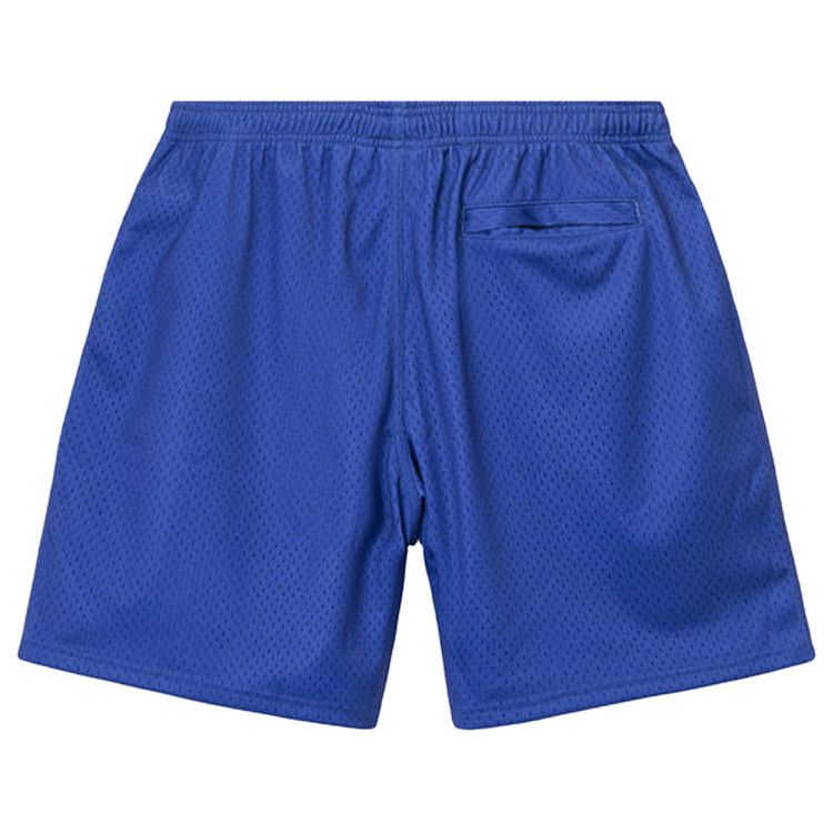 Stussy Arch Mesh Short Purple