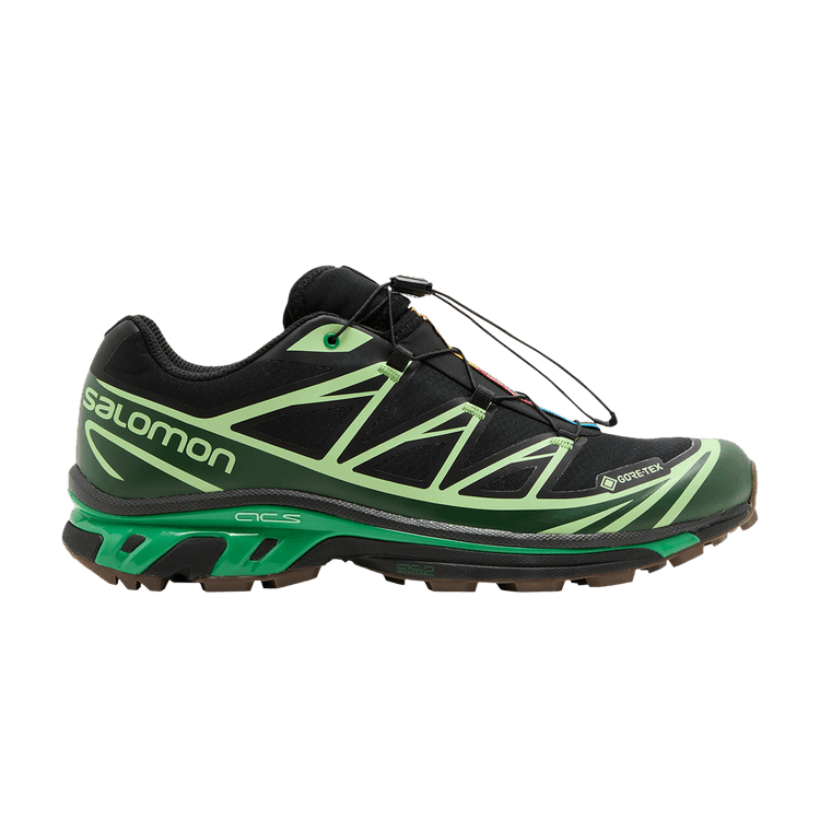 Salomon Advanced XT-6 Gore-Tex Eden Green Ash