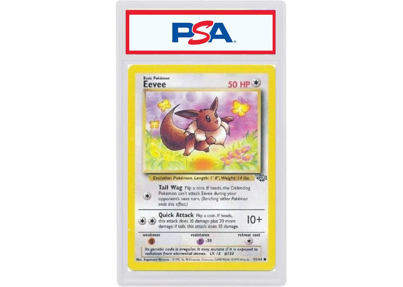 1999 Pokemon Jungle 51 Eevee 1st Edition (PSA or BGS Graded)