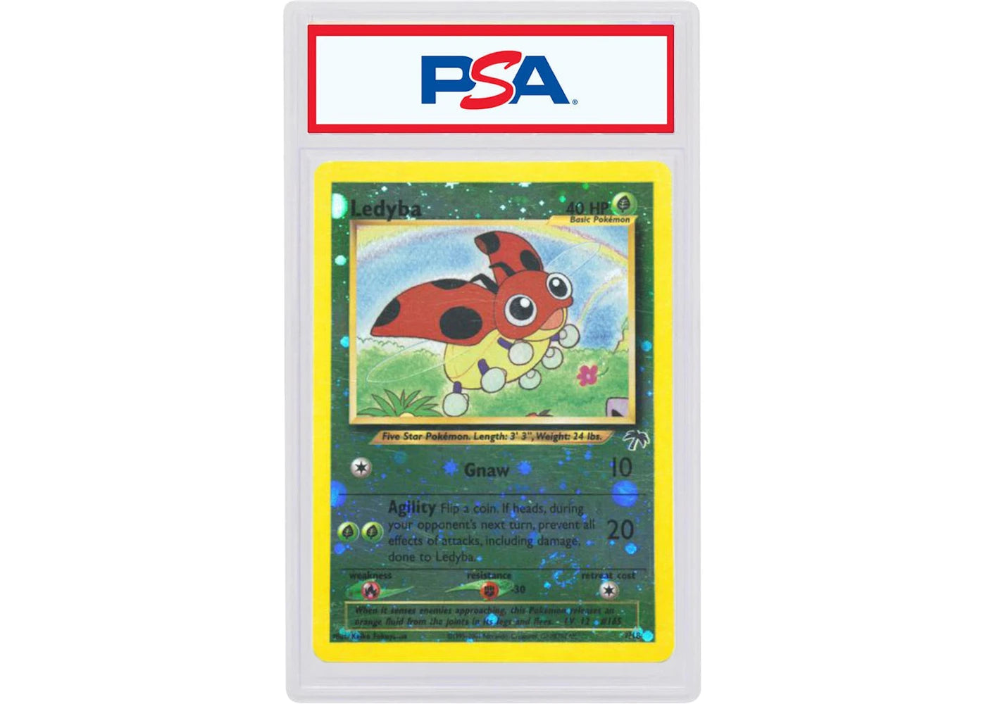 2001 Pokemon Southern Islands Promo 7 Ledyba-Holo (PSA or BGS Graded)