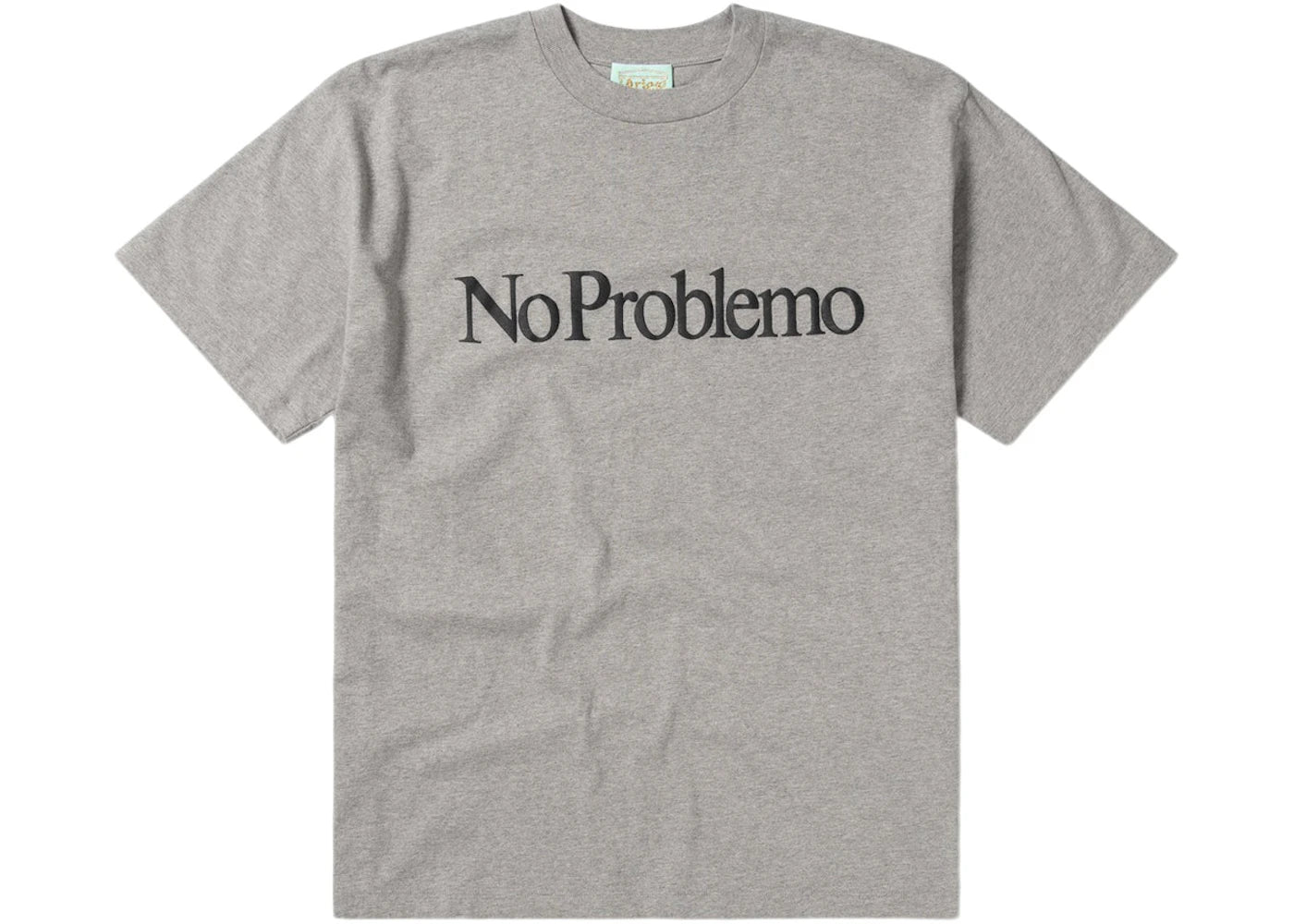Aries No Problemo SS Tee Grey Marl