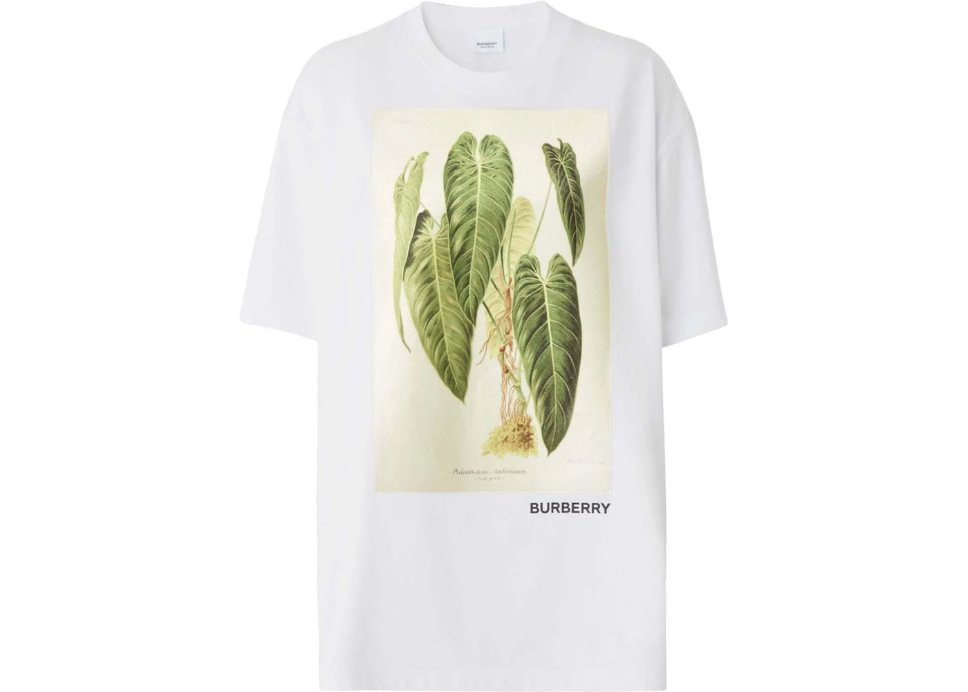 Burberry Botanical Sketch T-shirt White