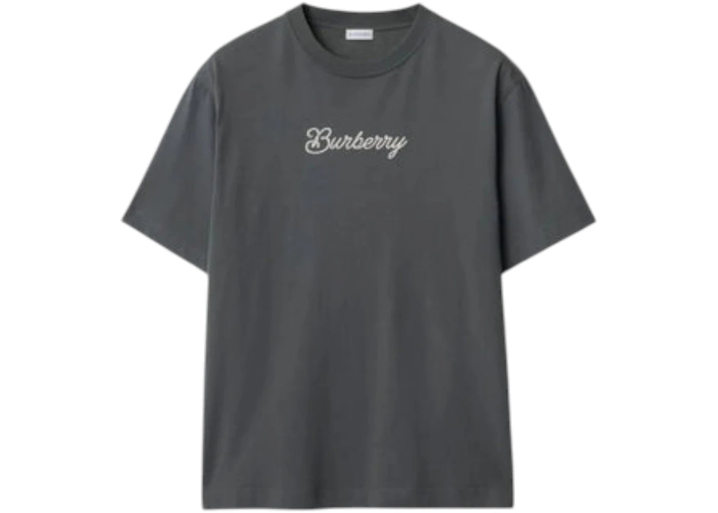 Burberry Wordmark T-shirt Celadon Heather Multi