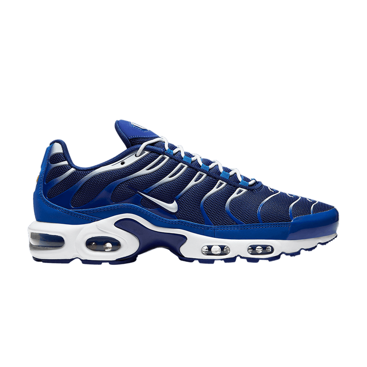 Nike Air Max Plus Arctic Chill