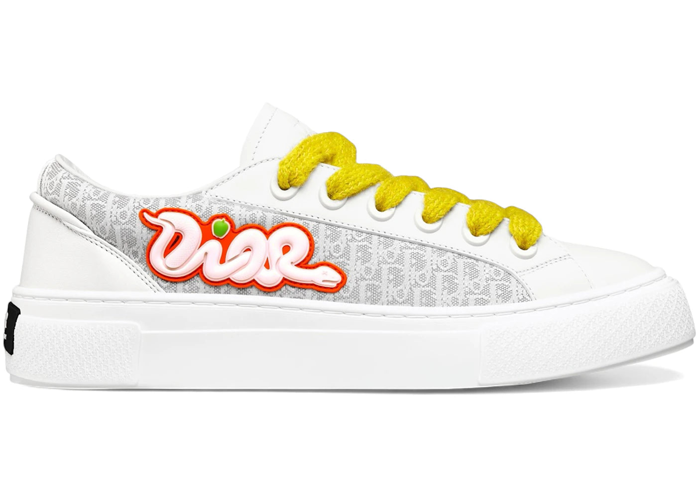 Dior B33 KAWS White Gray