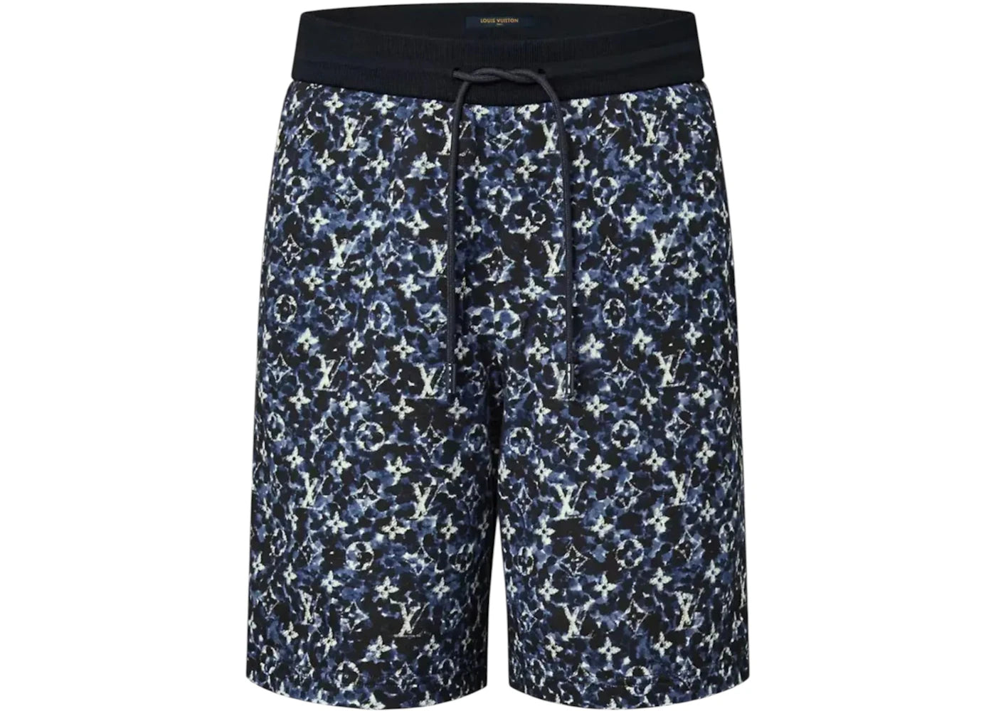 Louis Vuitton Monogram Pointilism Shorts Blue