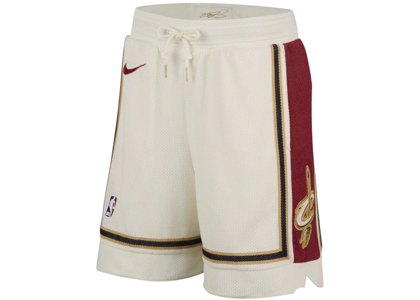 Nike LeBron James Dri-FIT NBA Shorts Multicolor