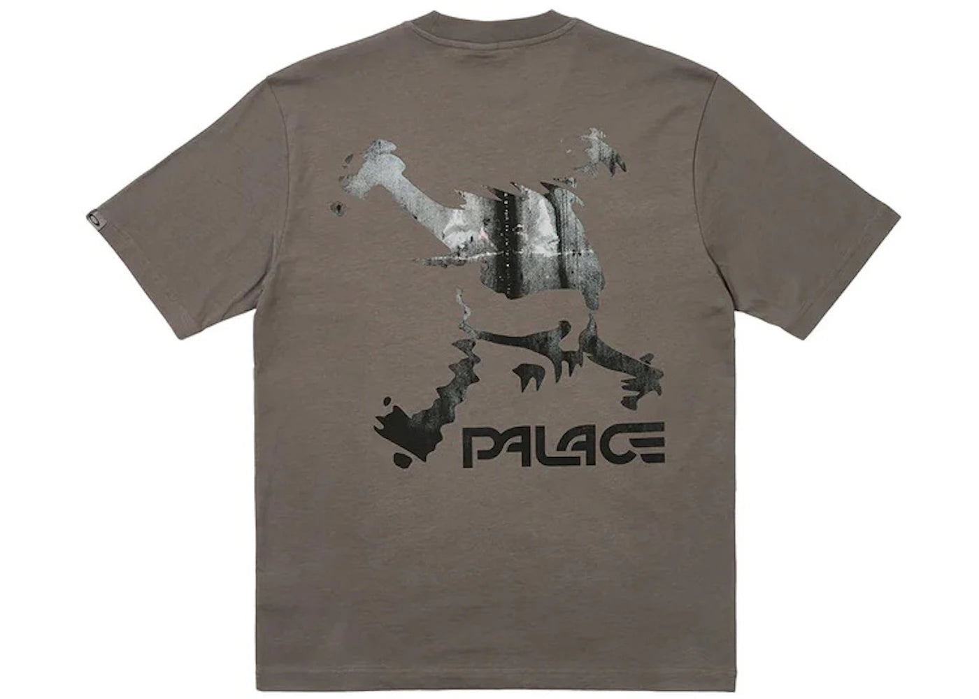 Palace x Oakley T-Shirt Grey
