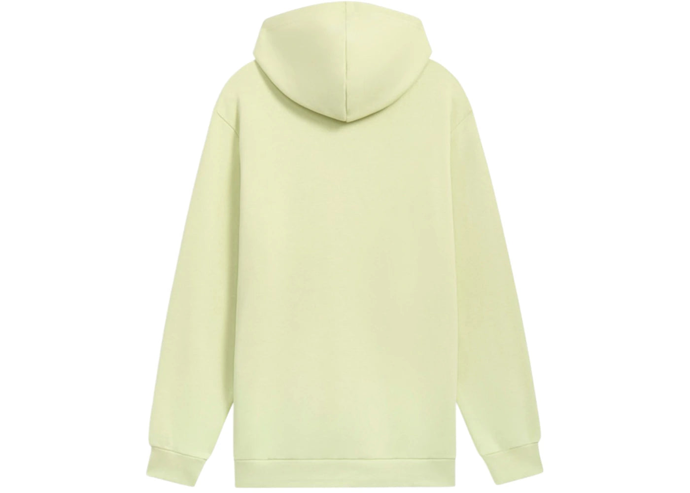 Puma Tonal Graphic Logo Pullover Hoodie Pistachio Green