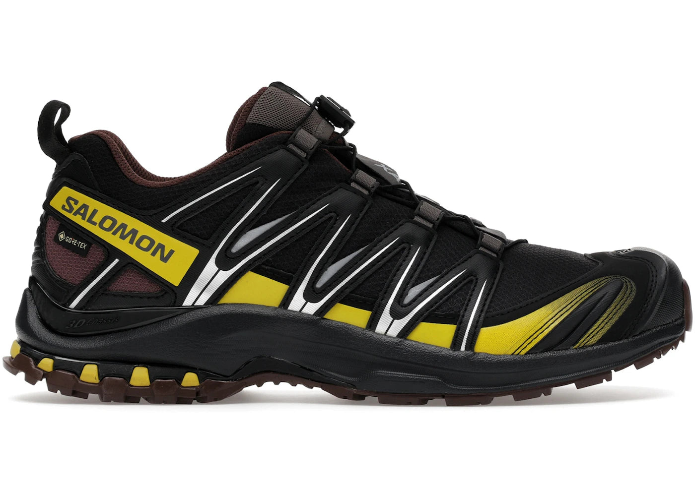 Salomon XA Pro 3D Gore-Tex Cress Green French Roast