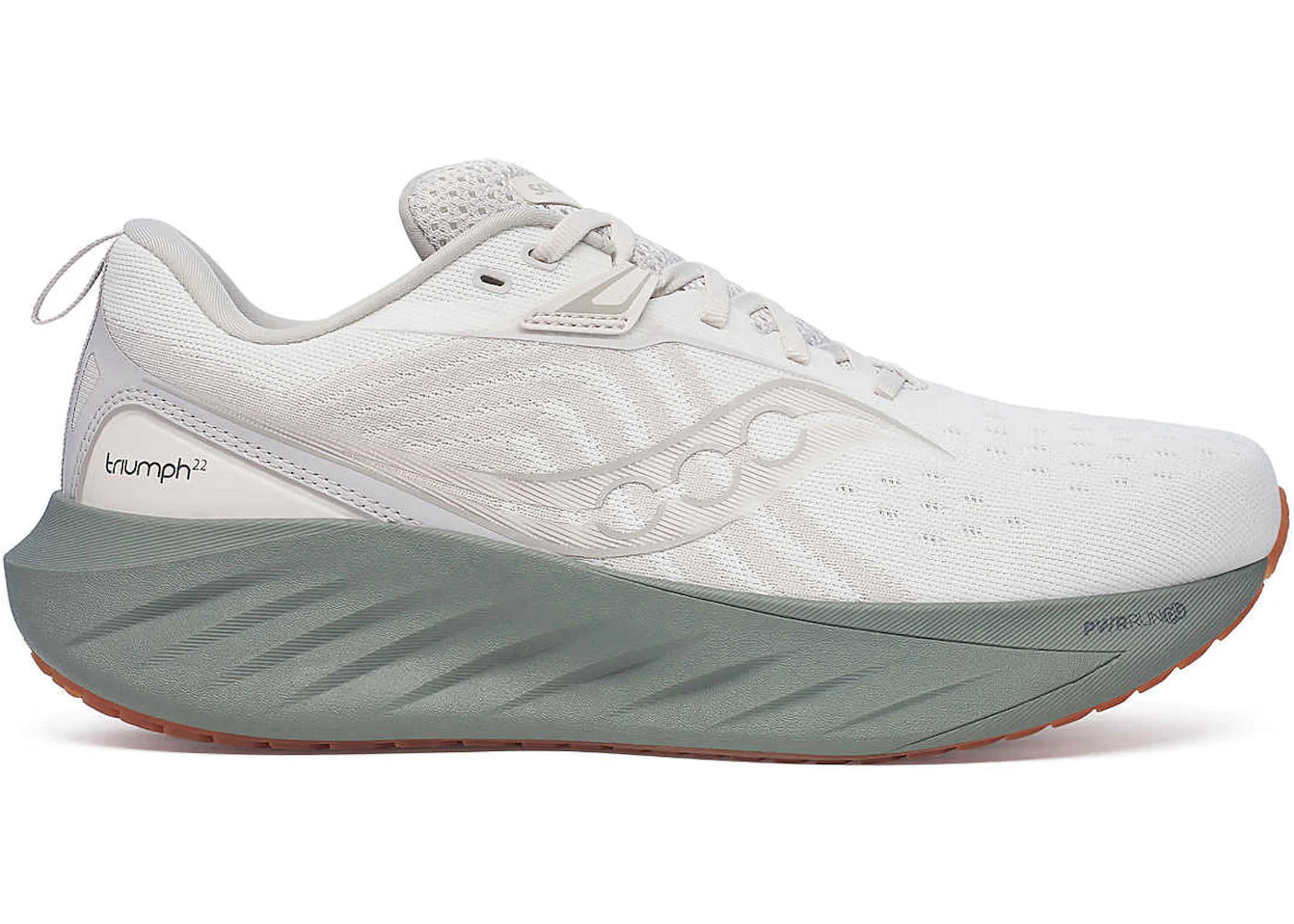 Saucony Triumph 22 Moon Bough