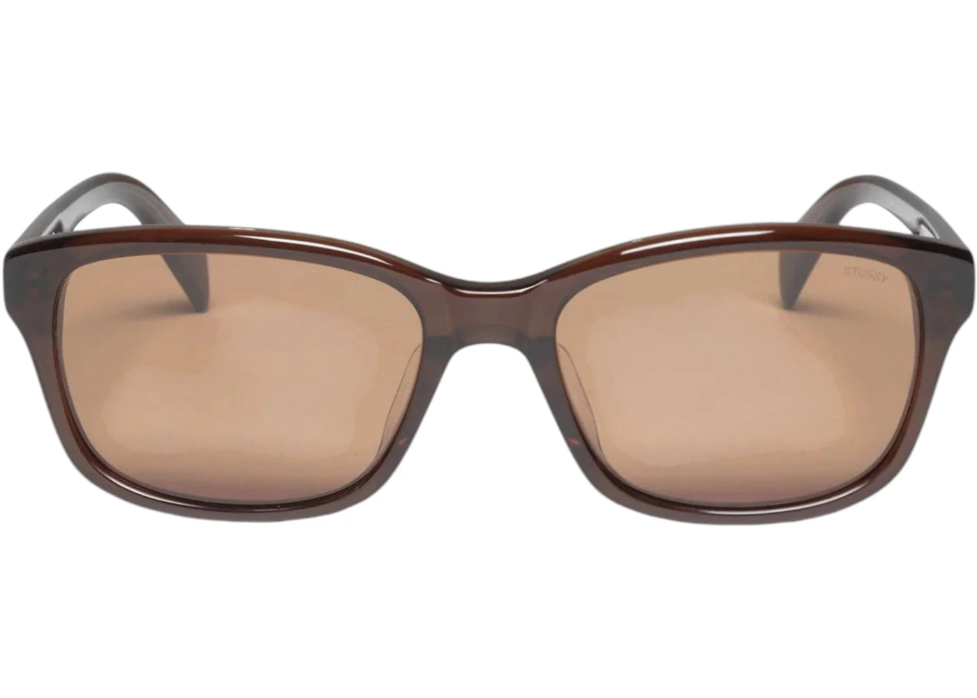 Stussy Alan Sunglasses Brown/Brown Lens
