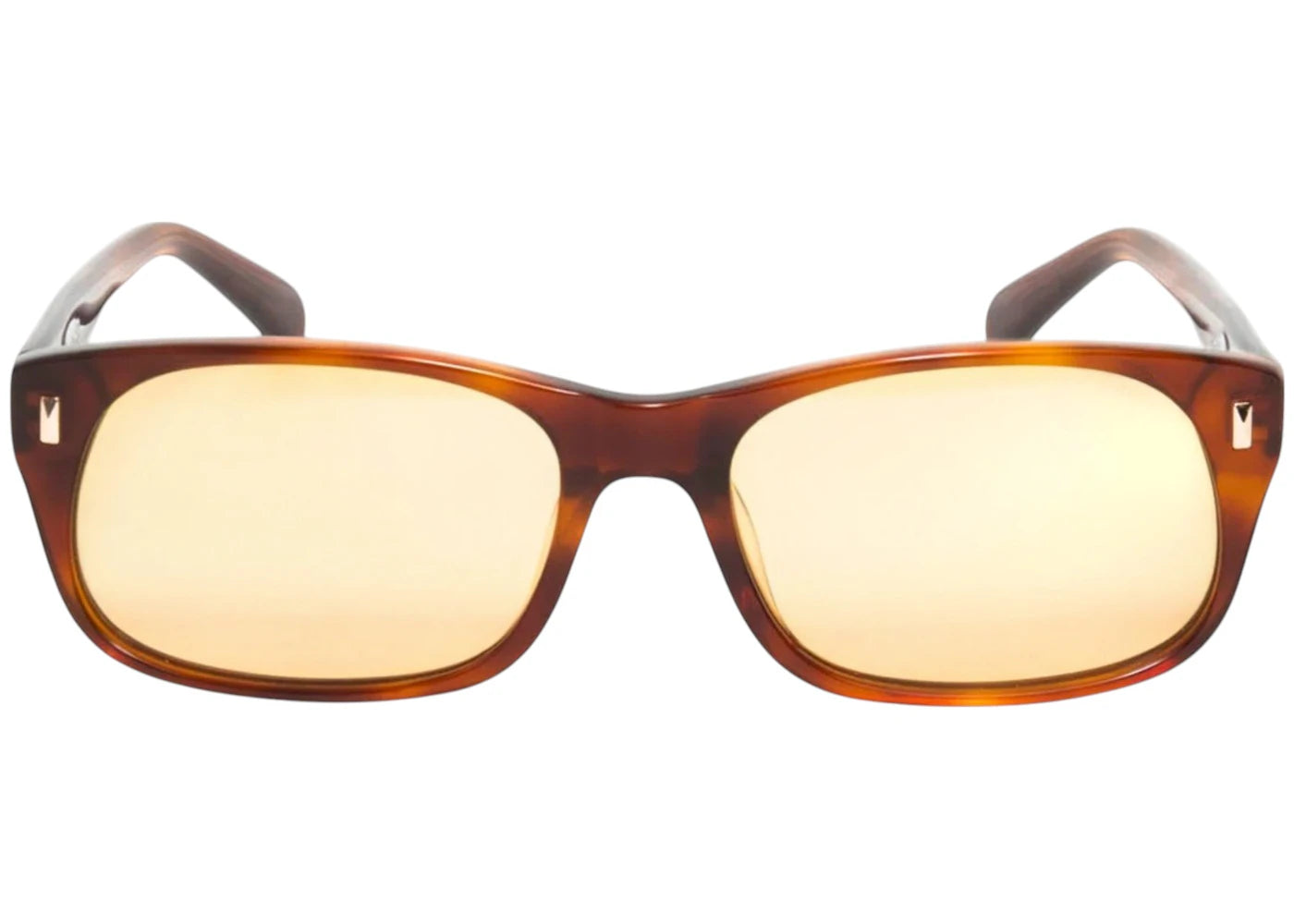 Stussy Michael Sunglasses Tortoise/Brown Lens