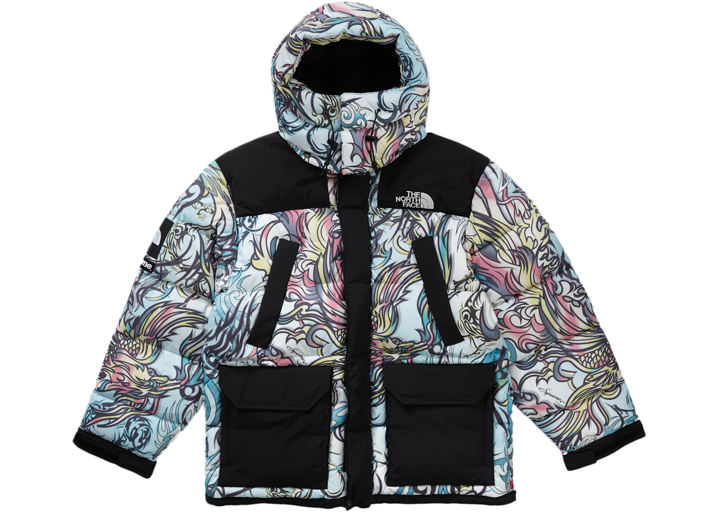 Supreme The North Face 700-Fill Down Parka Multicolor Dragon