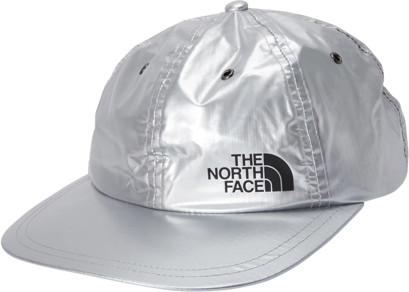 Supreme The North Face Metallic 6-Panel Silver