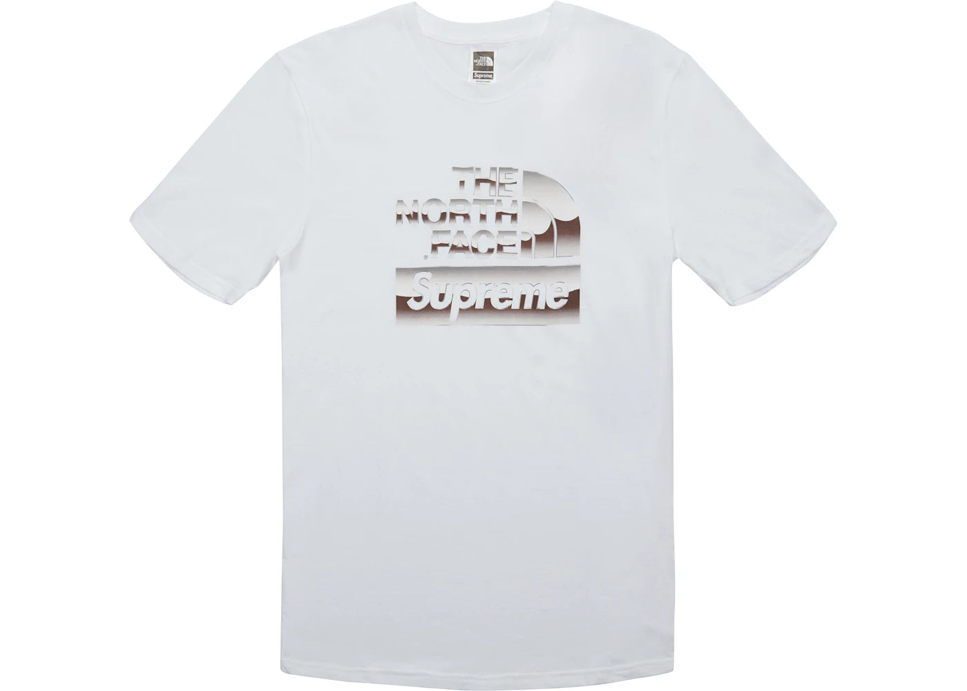Supreme The North Face Metallic Logo T-shirt White