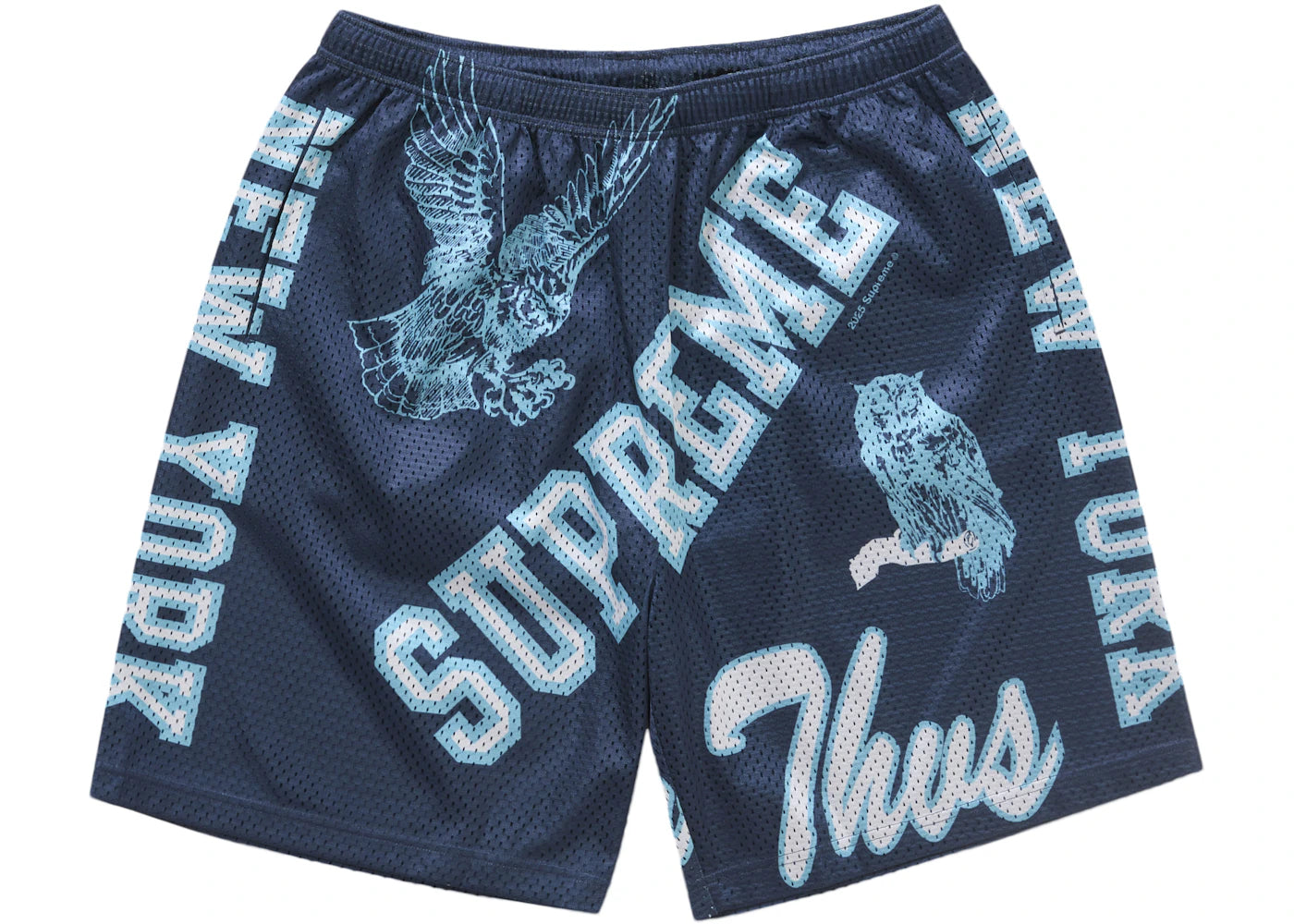 Supreme Varsity Mesh Short Navy