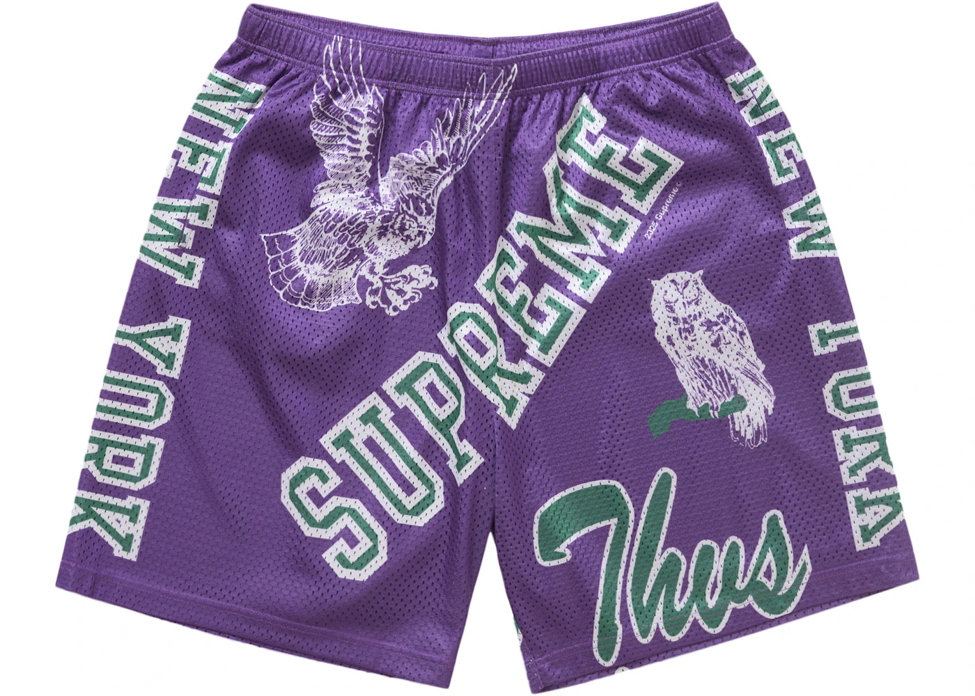 Supreme Varsity Mesh Short Purple