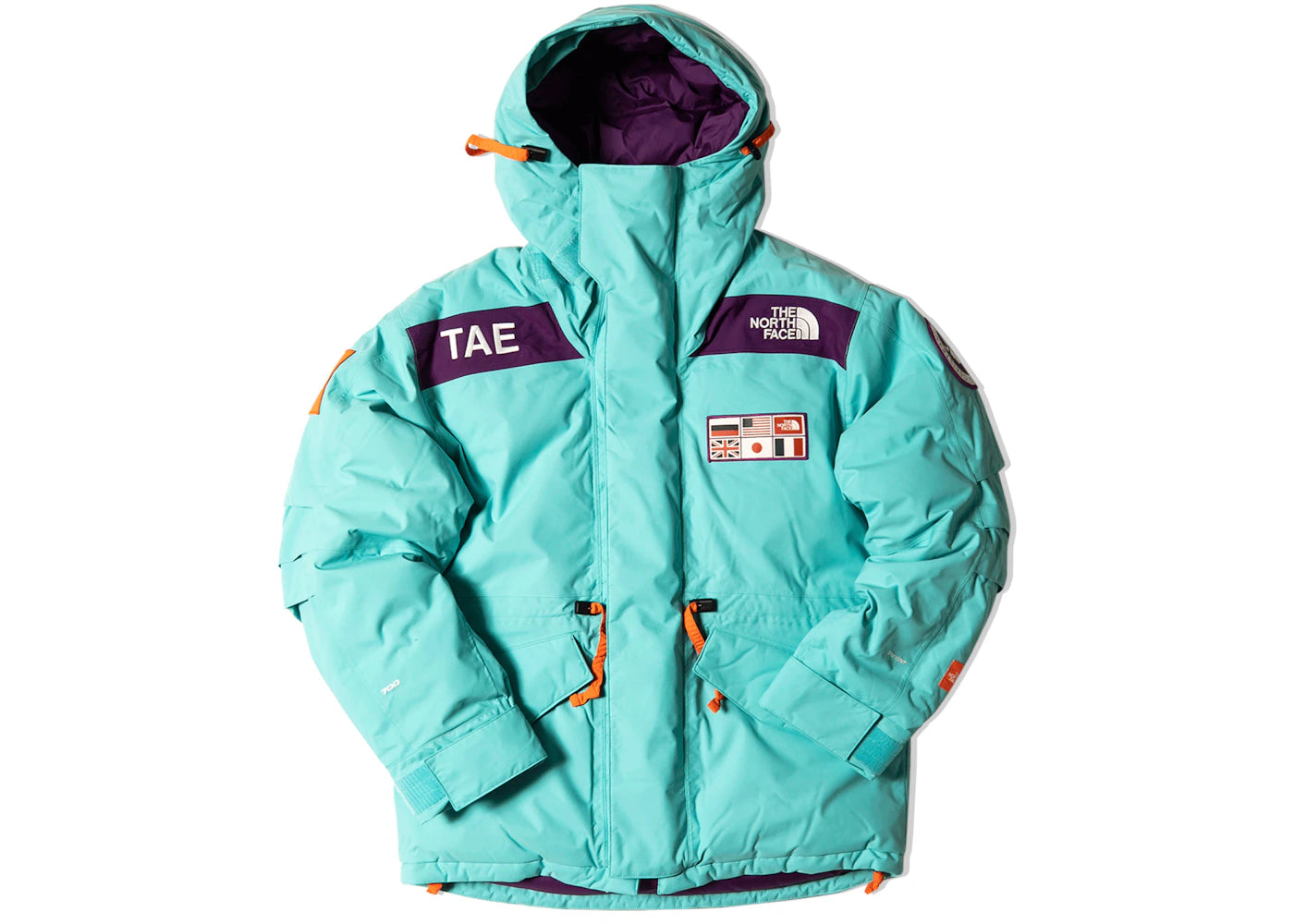 The North Face TAE Trans-Antarctica Expedition 700-Down Parka Jacket Blue